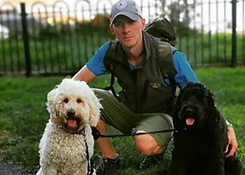 5 Best Dog Walking Services in Nottingham - Explore support for your pet routine