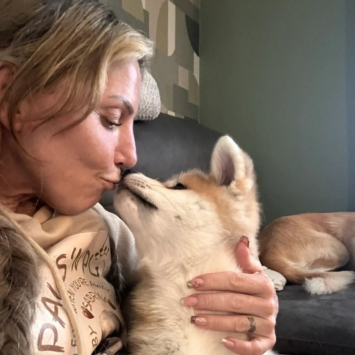 5 Best Pet Sitting Services in Nottingham - Find support while you are away