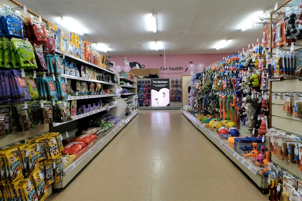 5 Best Pet Shops in Nottingham - Find essentials for your animal companions